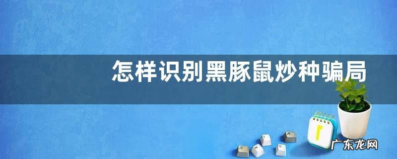 怎样识别黑豚鼠炒种骗局，黑豚鼠的销售推广经验