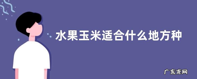 水果玉米适合什么地方种植
