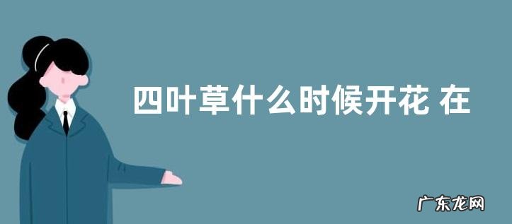 四叶草什么时候开花 在什么季节开花