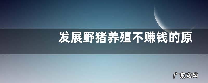 发展野猪养殖不赚钱的原因,如何避免