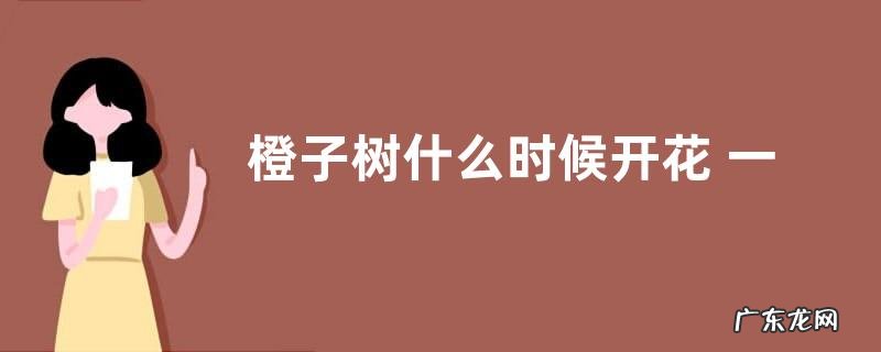 橙子树什么时候开花 一般几点钟开放