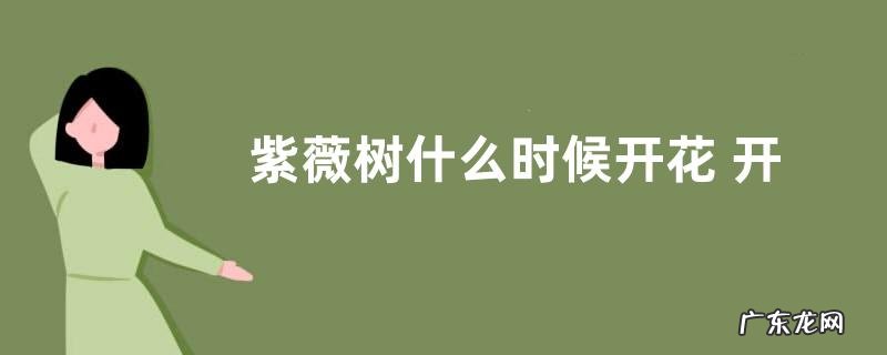 紫薇树什么时候开花 开花季节是几月份