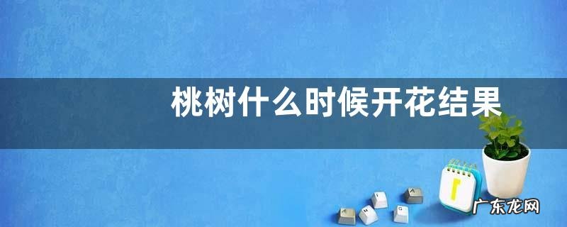 桃树什么时候开花结果