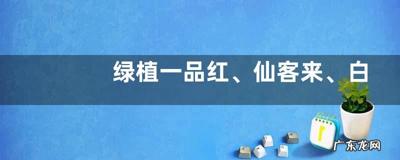 绿植一品红、仙客来、白蝴蝶、马蹄莲、天竺葵有毒吗?附相关毒性