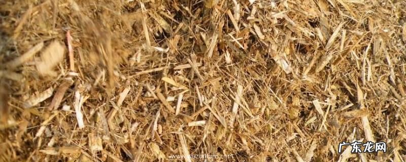 花生秧有什么用途？附花生秧青贮的好处