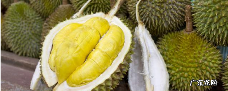 榴莲树几年结果?几月份成熟,有哪些品种