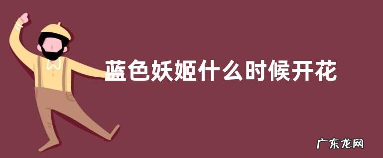 蓝色妖姬什么时候开花 开花时间是几月