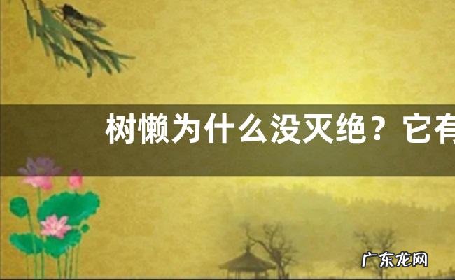 树懒为什么没灭绝?它有多懒,又有哪些天敌