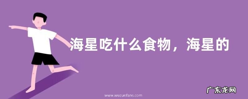 海星吃什么食物，海星的分类