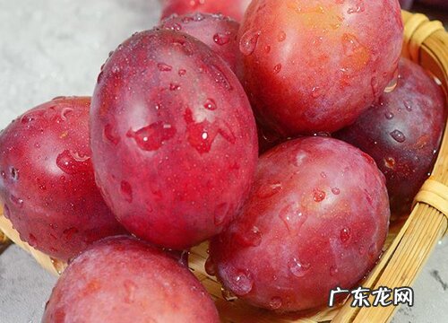 梅子什么时候上市 成熟季节几月份