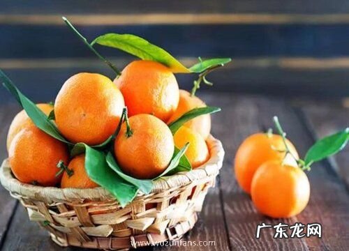 砂糖橘什么时候上市 成熟收获时间