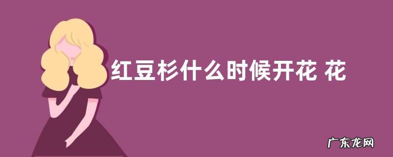 红豆杉什么时候开花 花期是几月份