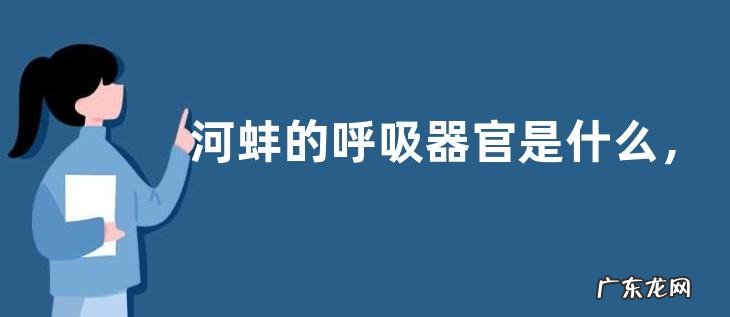 河蚌的呼吸器官是什么,河蚌吃什么食物