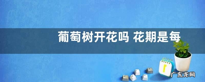 葡萄树开花吗 花期是每年几月