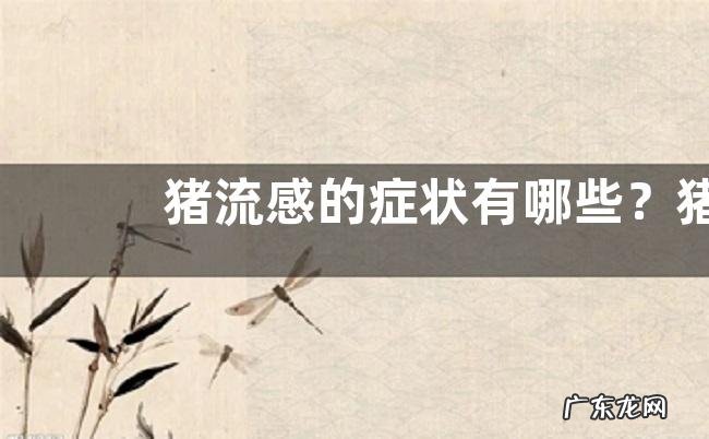 猪流感的症状有哪些?猪流感一般什么时候流行