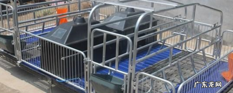 母猪产床是什么?有哪些优点