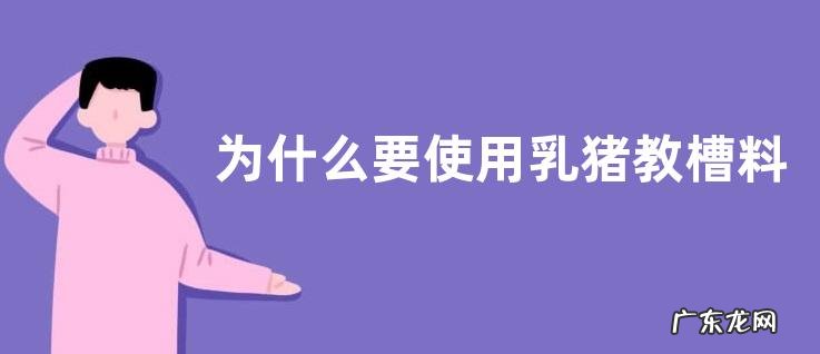 为什么要使用乳猪教槽料?乳猪教槽料的种类