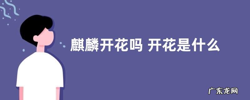 麒麟开花吗 开花是什么兆头