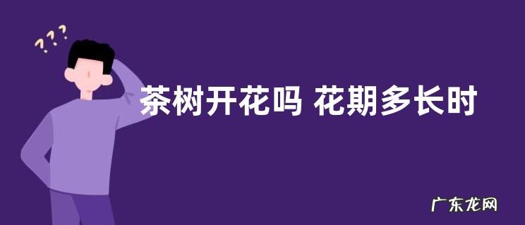 茶树开花吗 花期多长时间