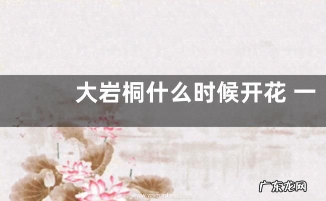 大岩桐什么时候开花 一年四季都开花吗