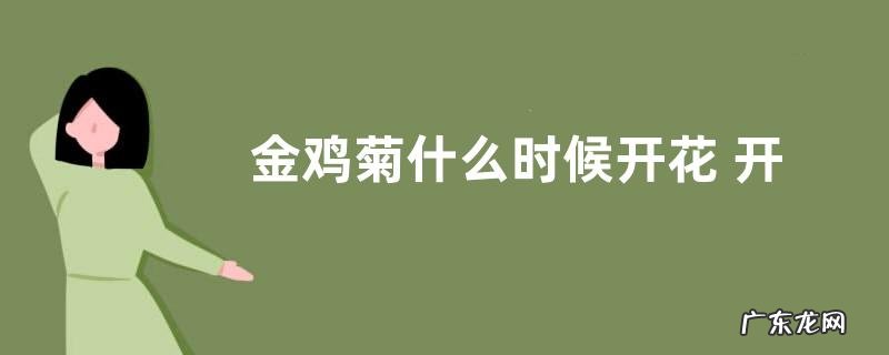 金鸡菊什么时候开花 开放时间是几月份