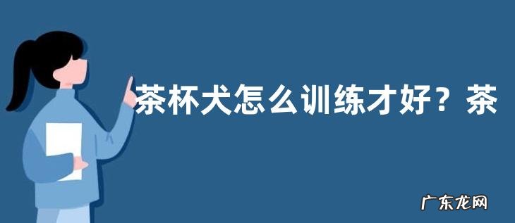 茶杯犬怎么训练才好？茶杯犬怎么养才好