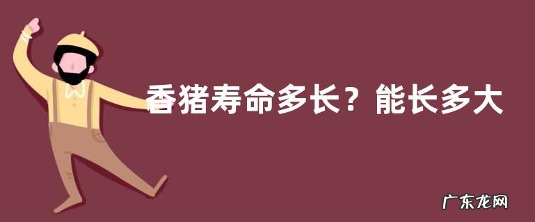 香猪寿命多长？能长多大，主要吃什么食物