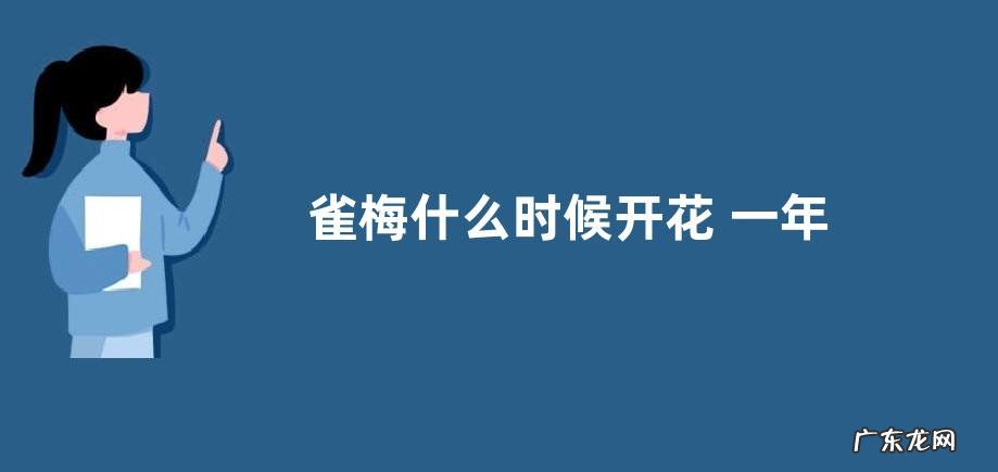 雀梅什么时候开花 一年开几次花