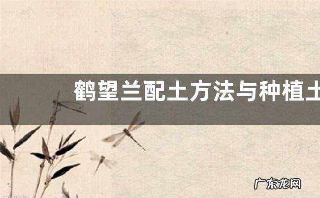 鹤望兰配土方法与种植土壤