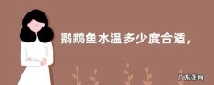 鹦鹉鱼水温多少度合适，鹦鹉鱼怎么养好