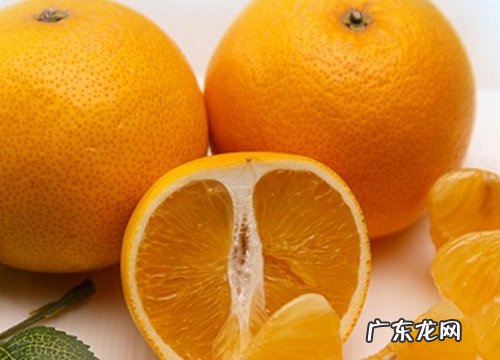 胡柚什么时候上市 几月份成熟采摘