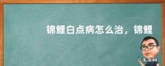 锦鲤白点病怎么治，锦鲤白点病的发生环境