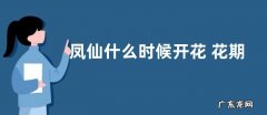 凤仙什么时候开花 花期是几月到几月