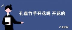 孔雀竹芋开花吗 开花的好兆头与寓意