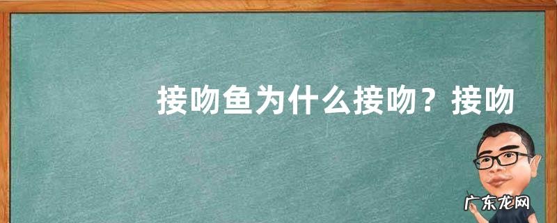 接吻鱼为什么接吻？接吻鱼怎么区分公母