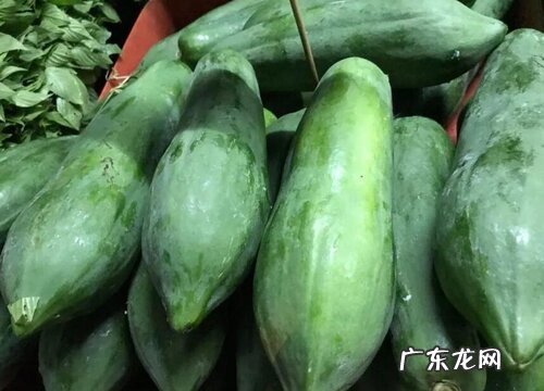 青木瓜什么时候成熟 成熟季节是几月份