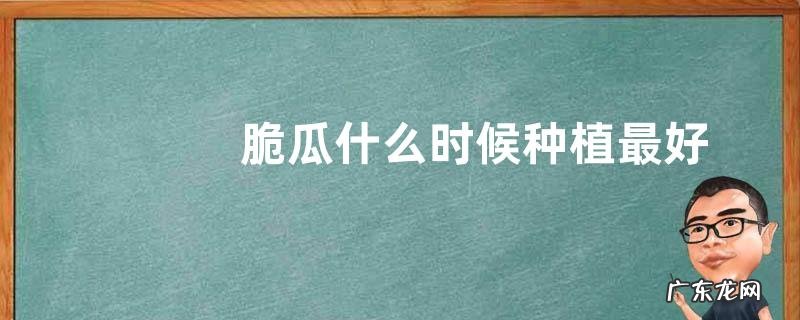 脆瓜什么时候种植最好