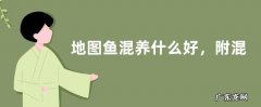 地图鱼混养什么好，附混养注意事项