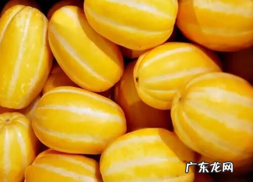 缅甸盛产什么水果有名