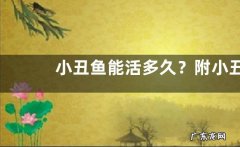 小丑鱼能活多久？附小丑鱼养殖环境