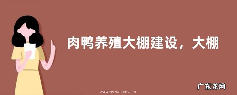 肉鸭养殖大棚建设,大棚建设注意事项
