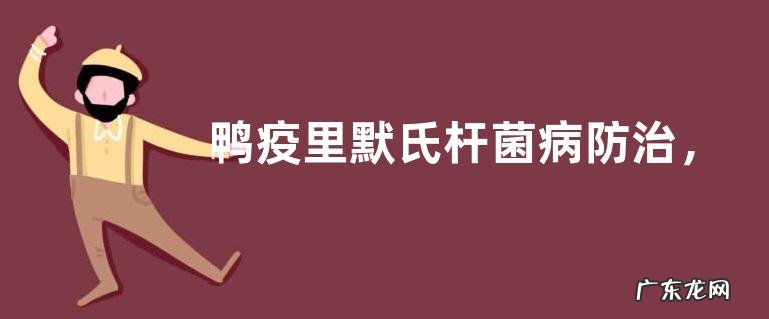 鸭疫里默氏杆菌病防治,鸭疫里默氏杆菌病的药物防治