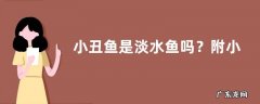 小丑鱼是淡水鱼吗？附小丑鱼吃什么
