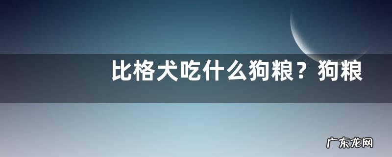 比格犬吃什么狗粮?狗粮应该怎么选择
