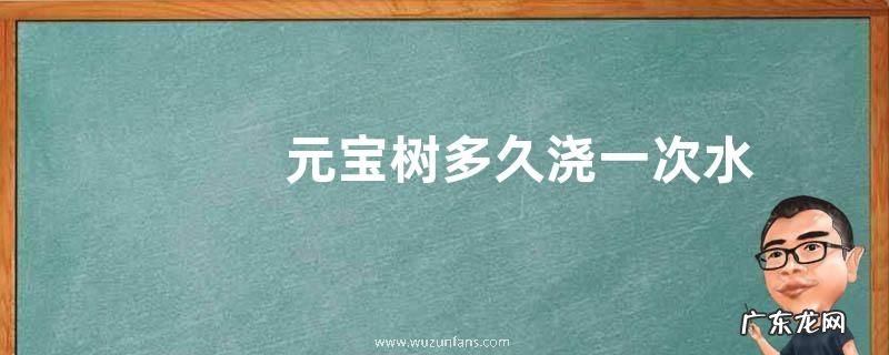 元宝树多久浇一次水