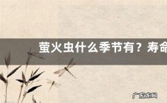 萤火虫什么季节有？寿命是多长，吃什么食物
