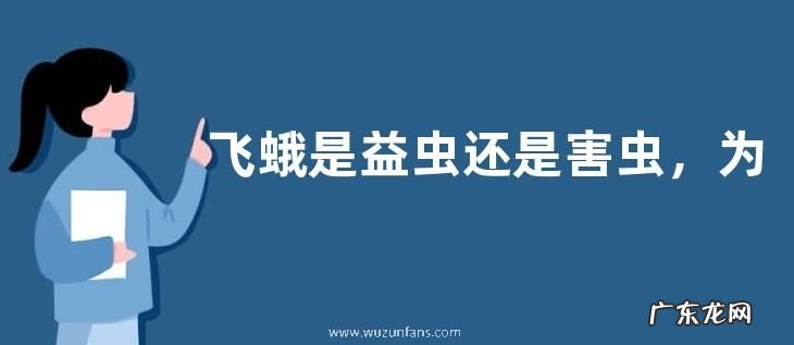 飞蛾是益虫还是害虫，为什么会扑火