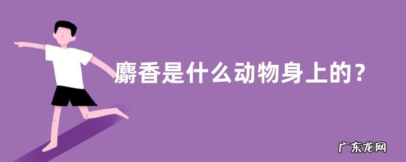 麝香是什么动物身上的？麝香的产地在哪里