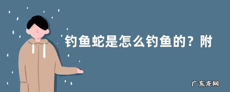 钓鱼蛇是怎么钓鱼的？附钓鱼蛇特征