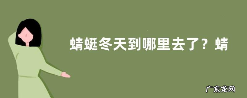 蜻蜓冬天到哪里去了?蜻蜓点水是为何